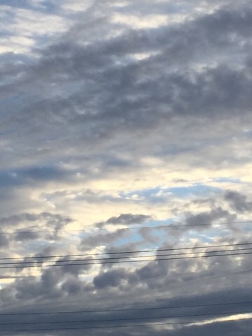 image1.JPG