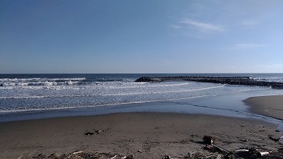 P_20191224_092915_vHDR_On.jpg