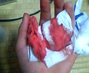 20070201_55234.jpg
