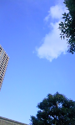 100715_1712~01.jpg
