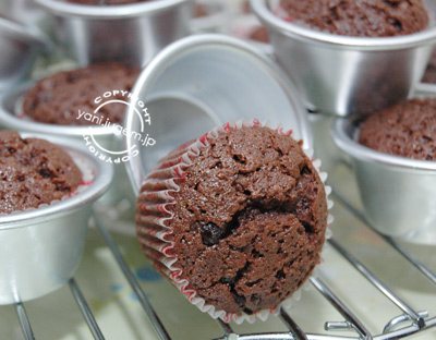 muffin coklat