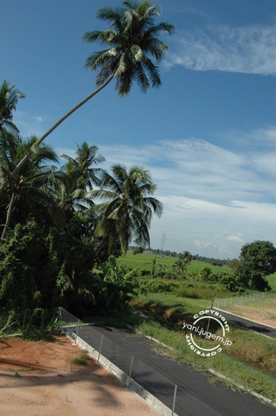 pemandangan