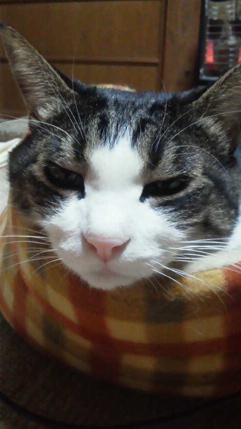 2014122121080000.jpg