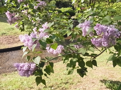 RIMG2777.JPG