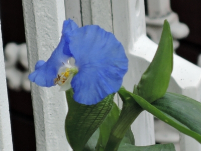 DSCN3156.JPG