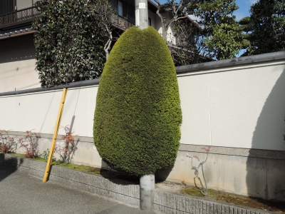 DSCN5580.JPG