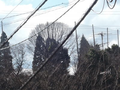 DSCN5583.JPG