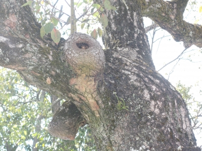 DSCN5518.JPG