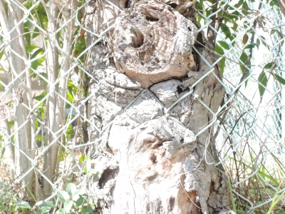 DSCN5524.JPG