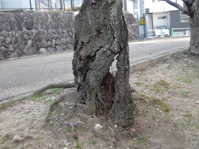 DSCN5598.JPG