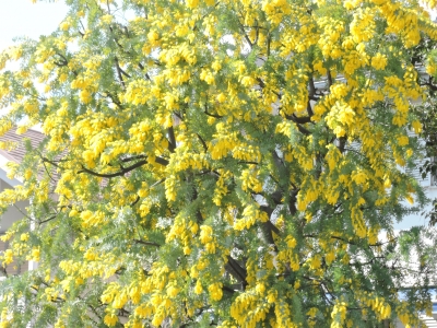 DSCN5564.JPG