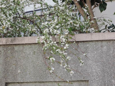 DSCN5579.JPG
