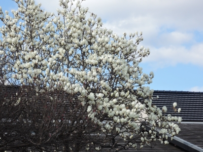 DSCN5585.JPG