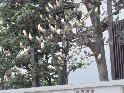 DSCN5586.JPG