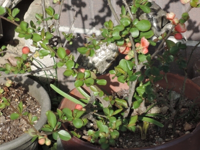 DSCN5588.JPG
