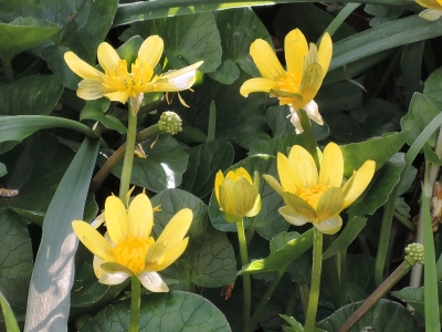 DSCN5596.JPG
