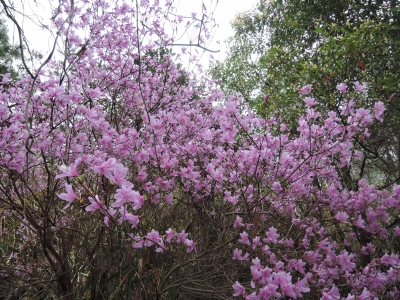 DSCN6032.JPG