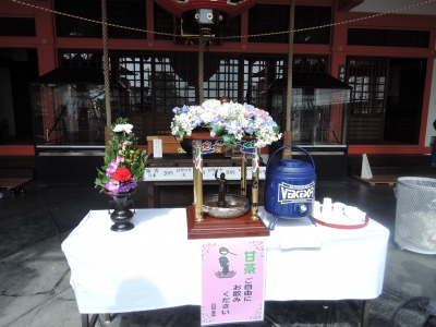 DSCN6048.JPG