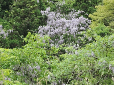 DSCN6217.JPG