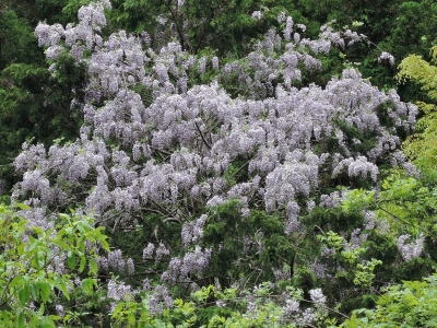 DSCN6218.JPG