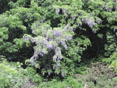 DSCN6219.JPG