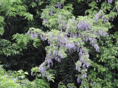DSCN6220.JPG