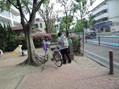 DSCN6175.JPG