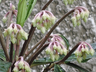 DSCN6395.JPG