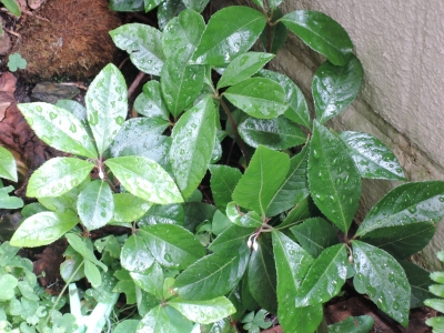 DSCN6402.JPG