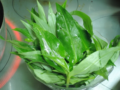 DSCN6464.JPG