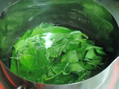 DSCN6465.JPG
