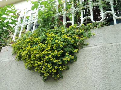 DSCN6473.JPG