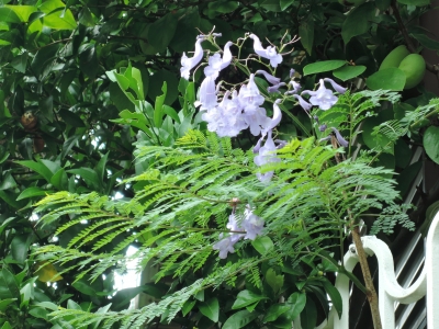 DSCN6477.JPG