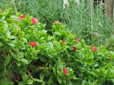 DSCN6478.JPG