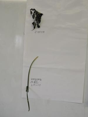 DSCN8204.JPG