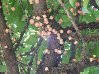DSCN9457.JPG