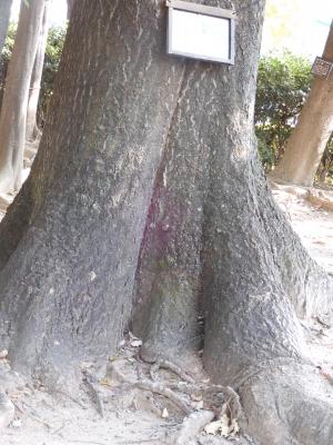 DSCN9470.JPG