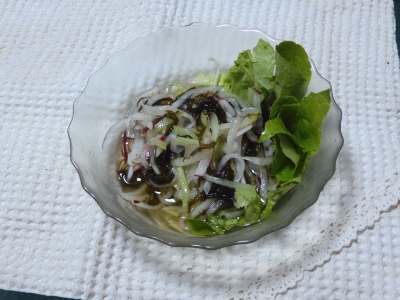 DSCN9537.JPG