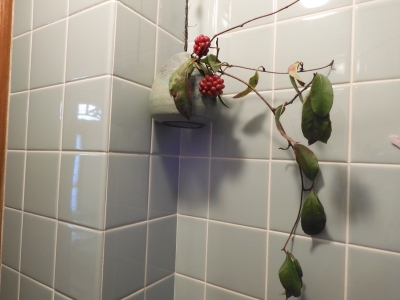 DSCN9539.JPG