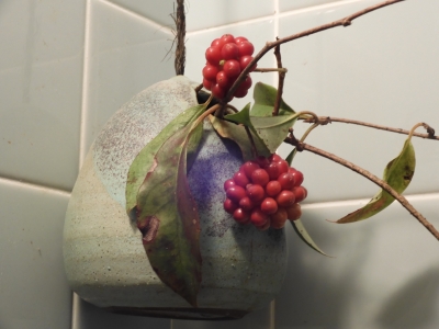 DSCN9540.JPG