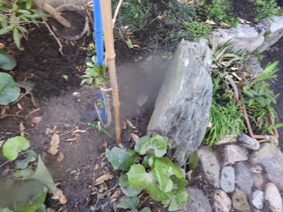 DSCN9815.JPG