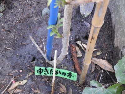 DSCN9816.JPG