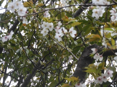 DSCN9880.JPG