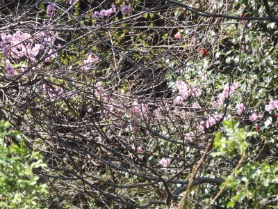 DSCN9897.JPG