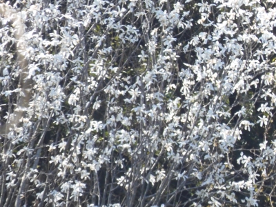 DSCN9894.JPG