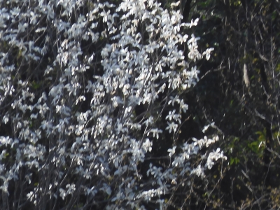 DSCN9895.JPG