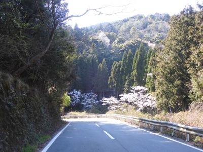 DSCN9922.JPG