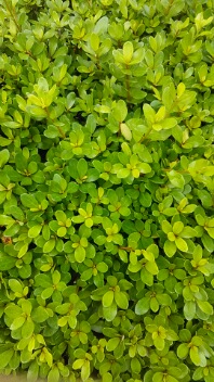 20170920_075952.jpg