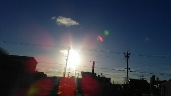 20181208_080506.jpg