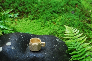 nikkou3